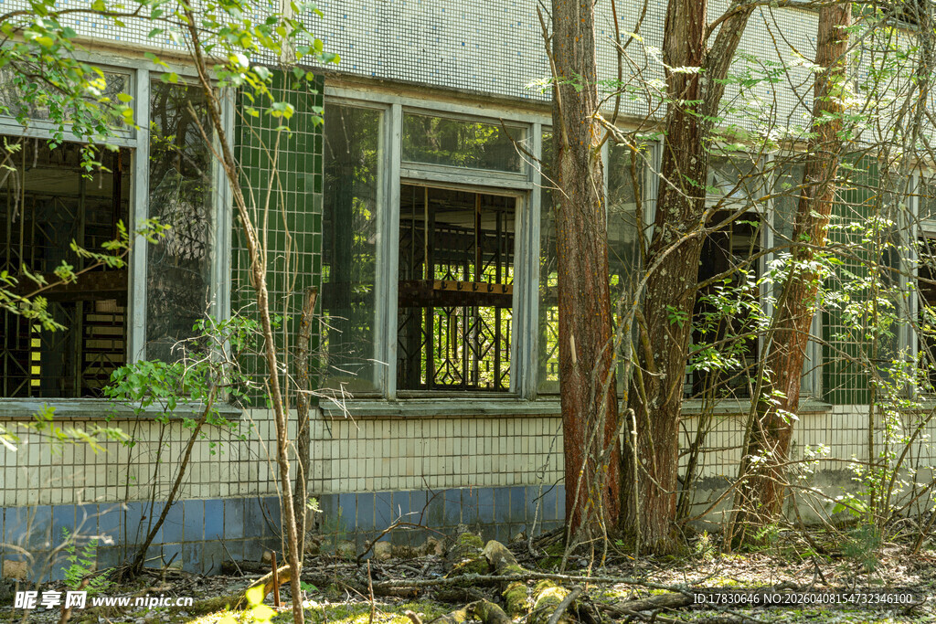 废弃房屋被绿植环绕