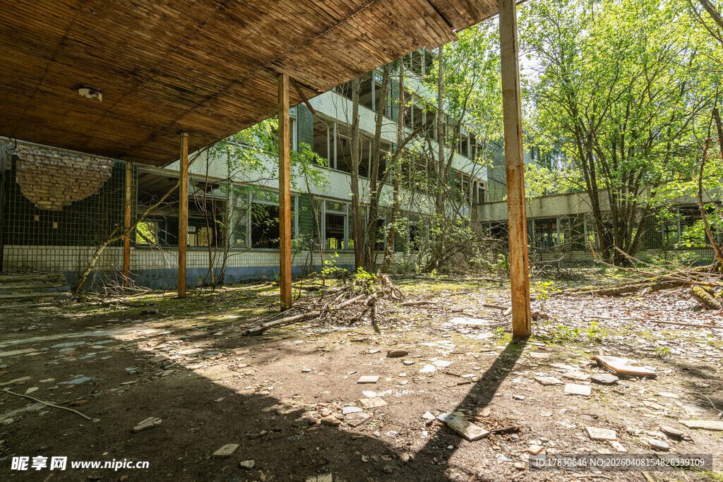 荒废的户外木质秋千场景