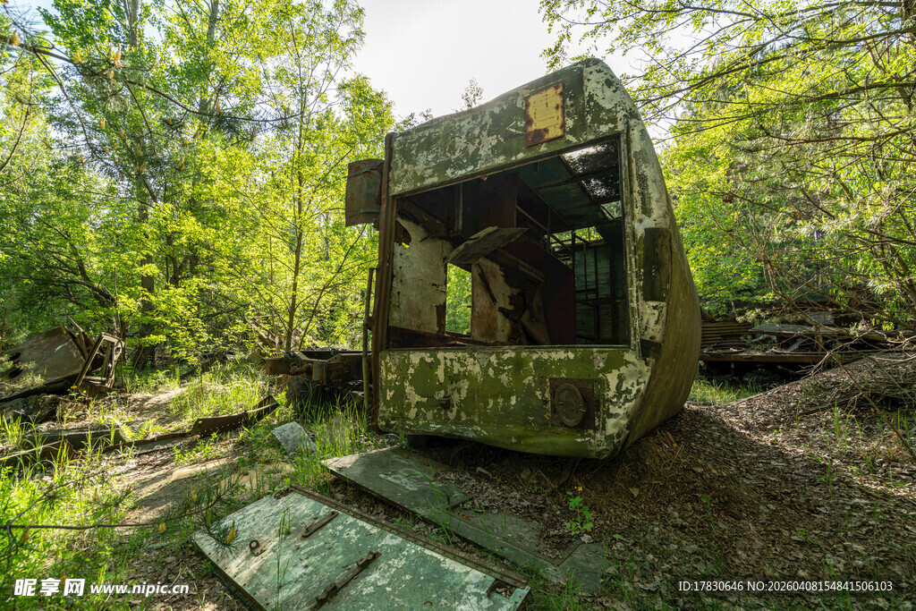 废弃林中挖掘机