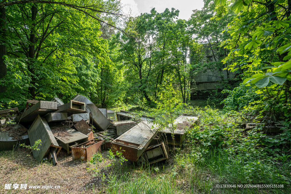 林间废弃蜂箱堆