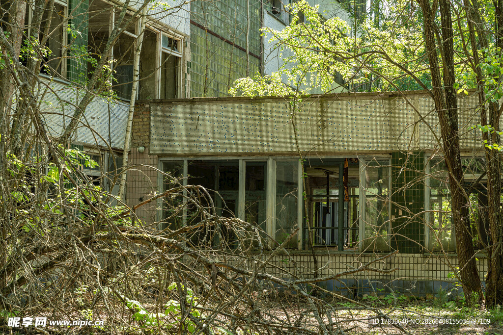 废弃建筑被绿植环绕