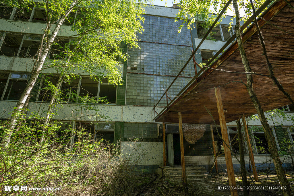 废弃建筑旁的绿植景观
