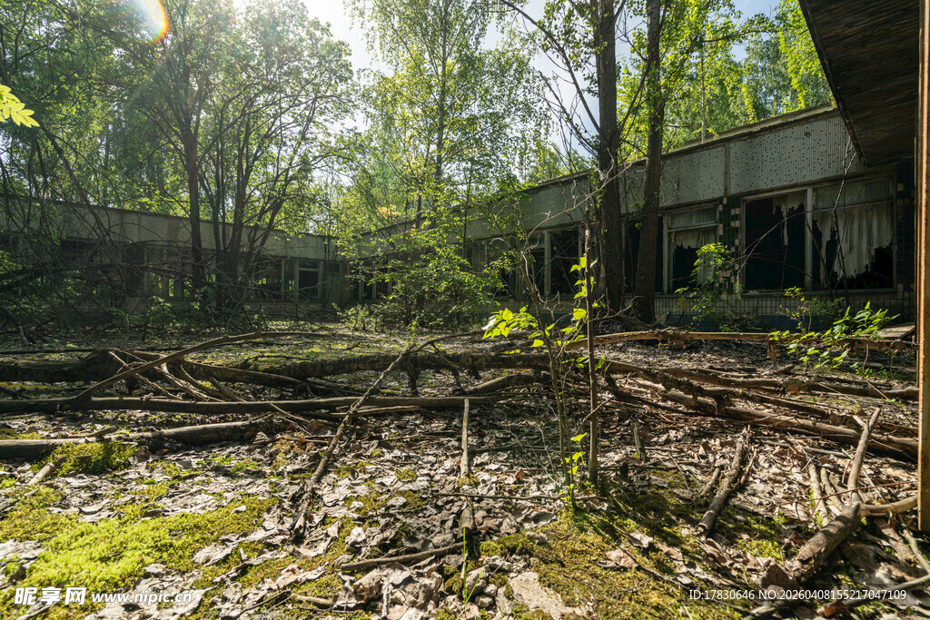 废弃丛林中的残旧建筑