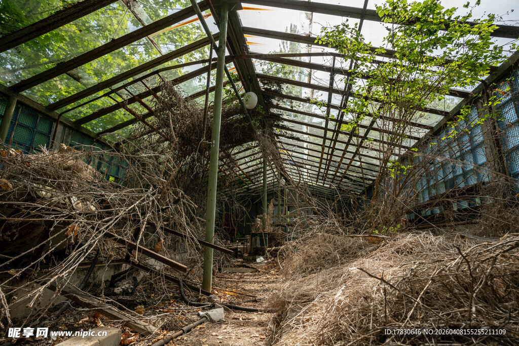 废弃温室内部景象