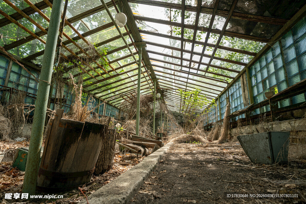 切尔诺贝利禁区