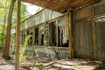 废弃林间木屋尽显沧桑