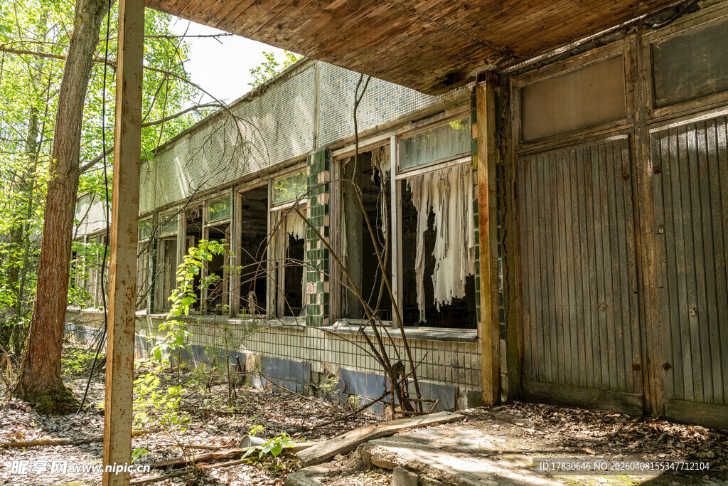 废弃林间木屋尽显沧桑