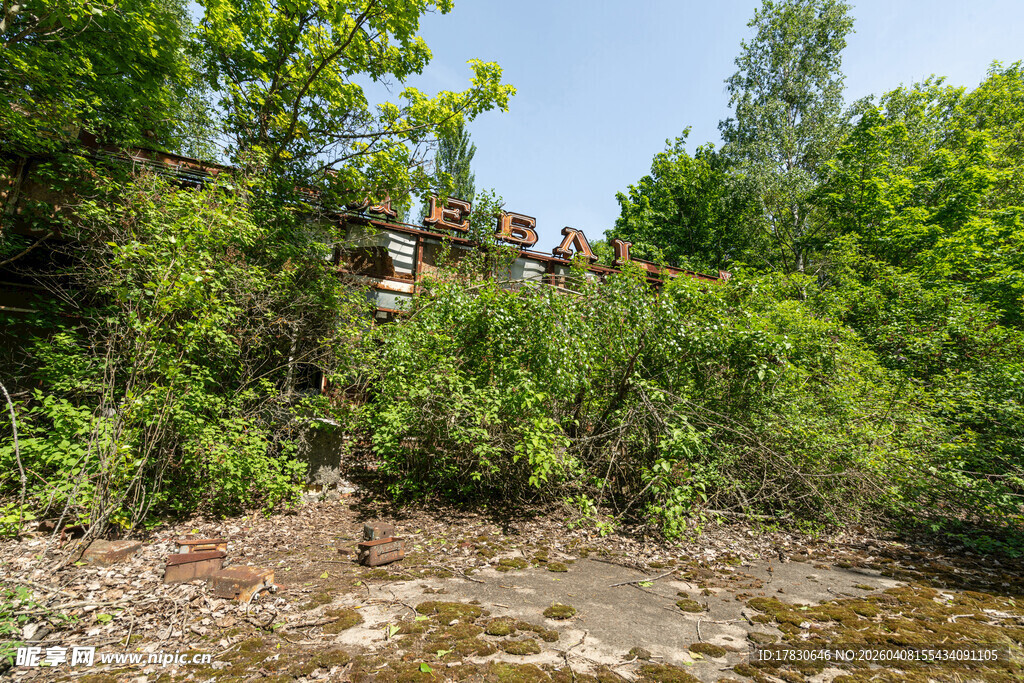 河岸旁繁茂绿意的自然景致