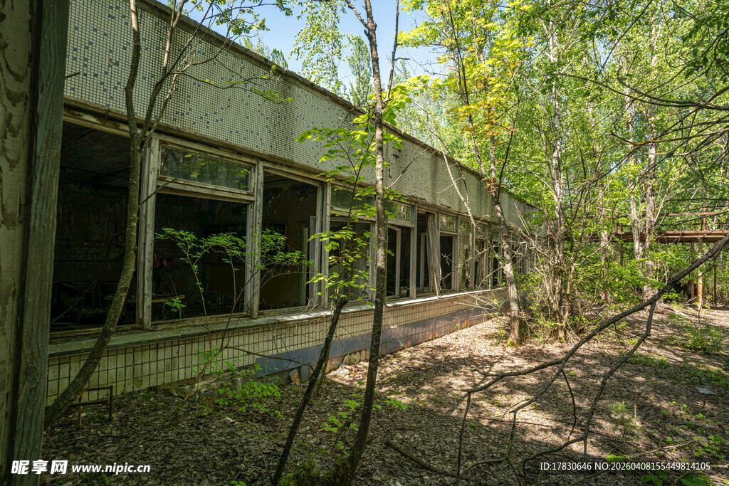 废弃建筑被绿植环绕