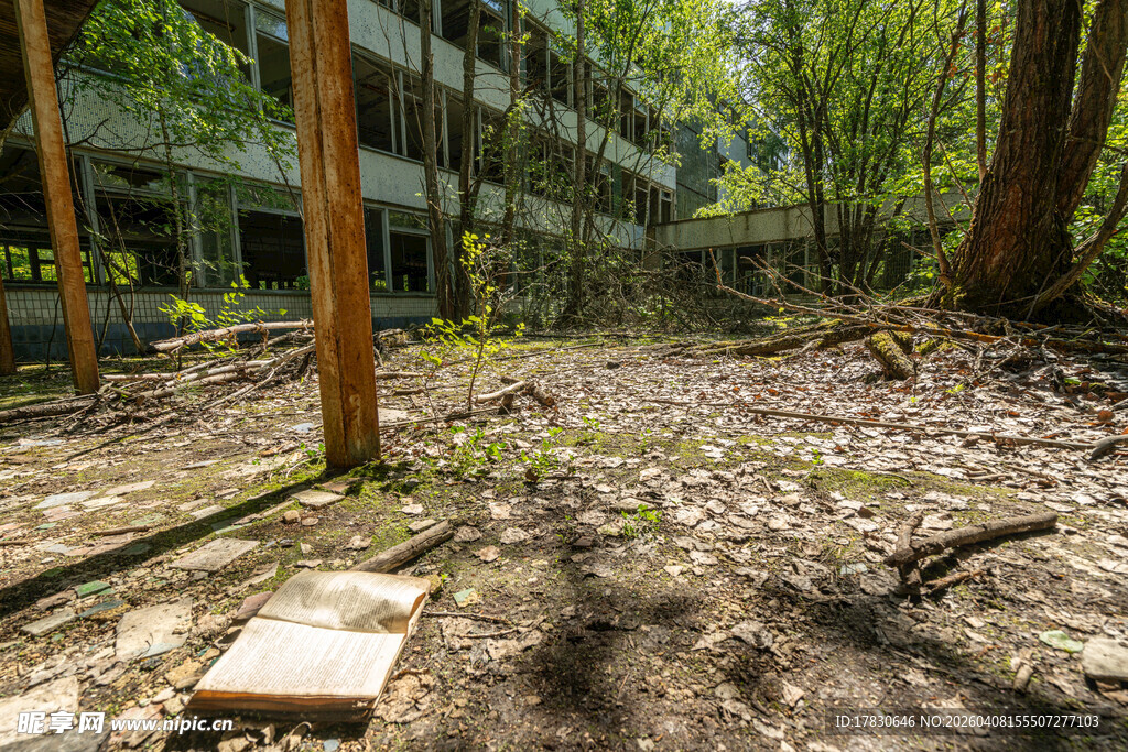 废弃建筑旁的荒芜林地