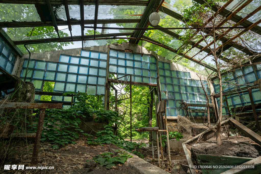 绿意盎然的玻璃温室空间