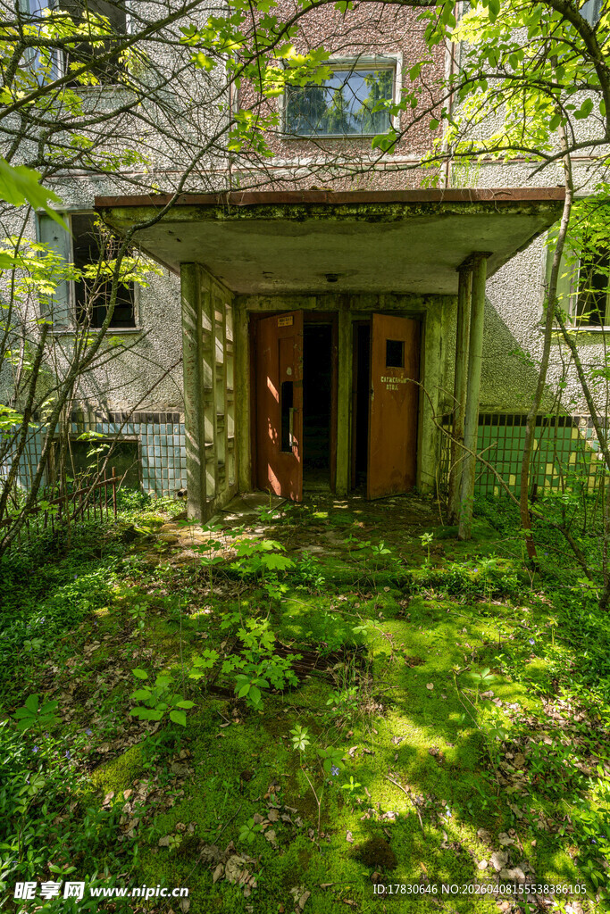 被绿植环绕的林间老旧房屋