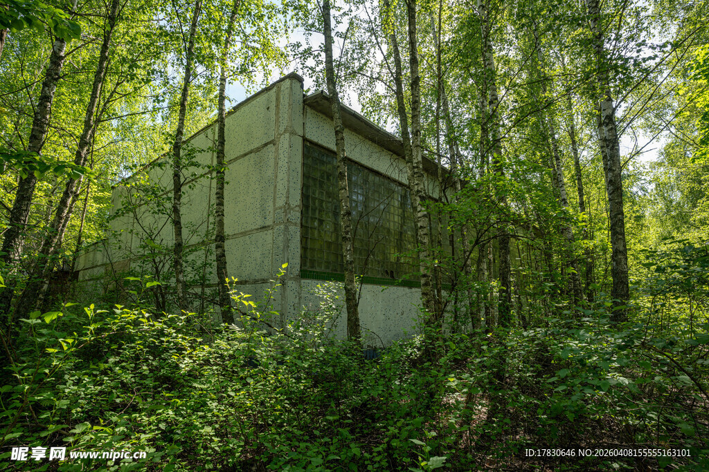 森林中的废弃建筑