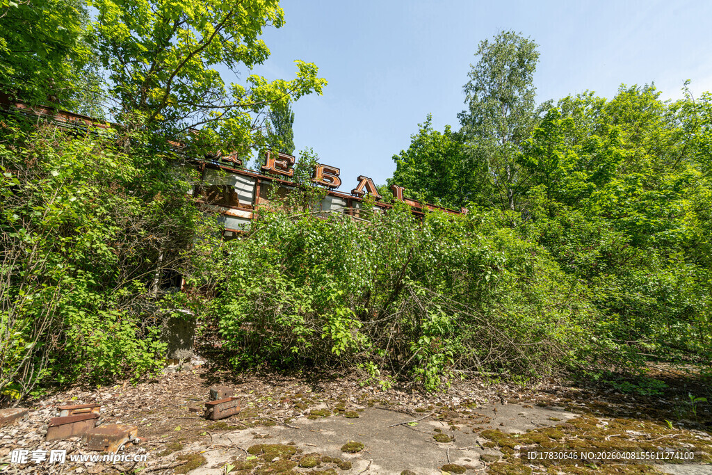 河边繁茂绿植景观