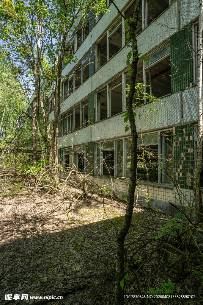 废弃建筑隐于茂密树林中