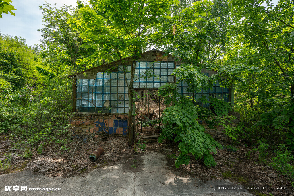 废弃玻璃房被绿植环绕