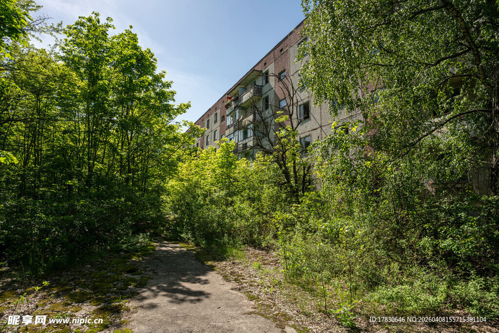 废弃建筑旁的绿意小道