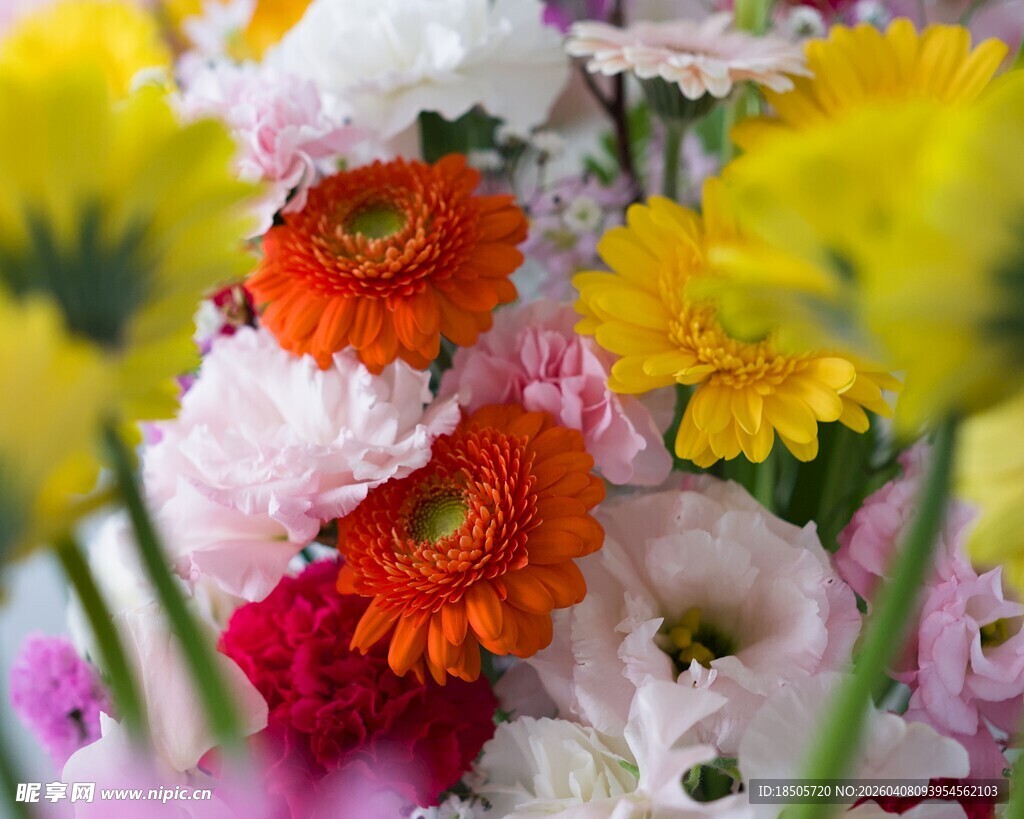 多彩绚丽的缤纷花卉组合