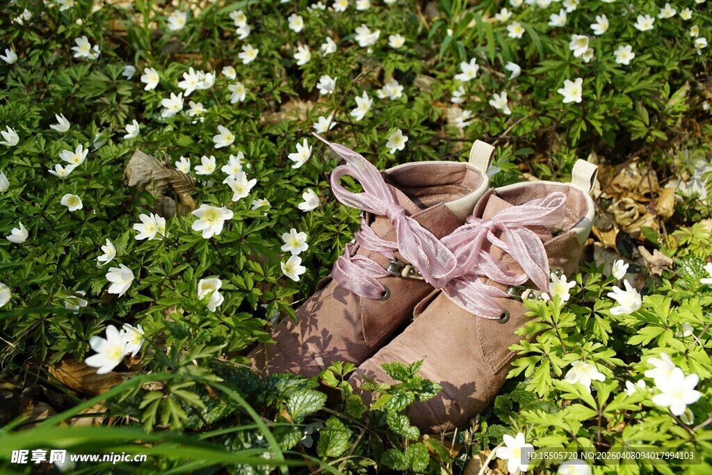 草地上的旧鞋子与小花