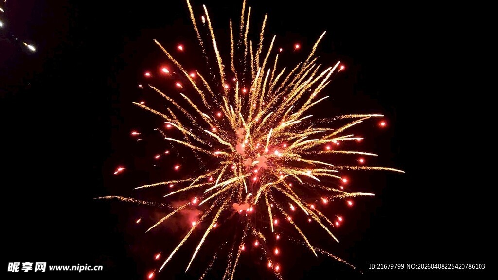 夜空中绚烂的烟花绽放