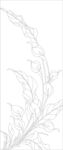 植物线条轮廓图