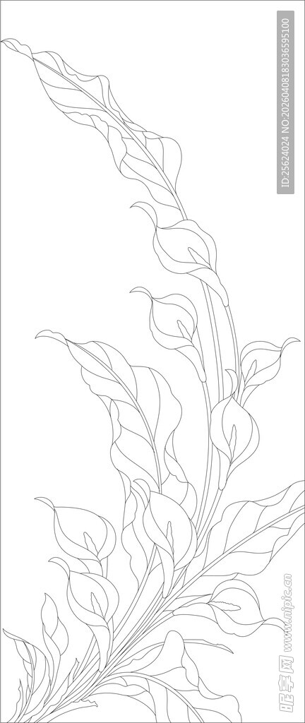 植物线条轮廓图