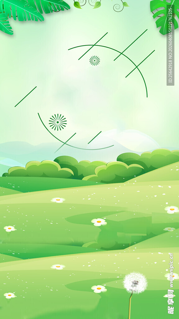 绿意盎然的清新草地风景