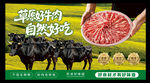 牛肉海报