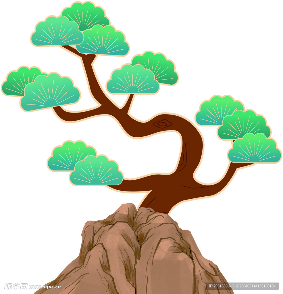 岩石上的弯曲松树