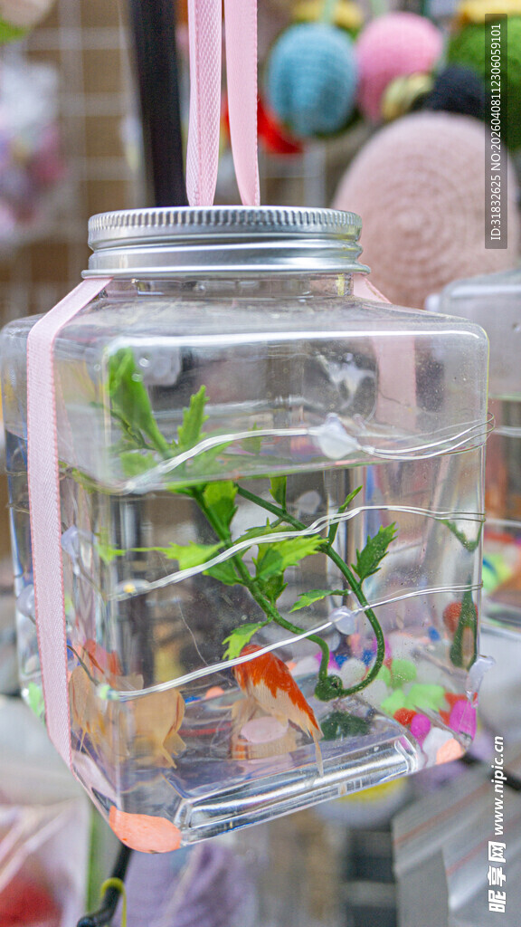 透明鱼缸内的灵动小金鱼