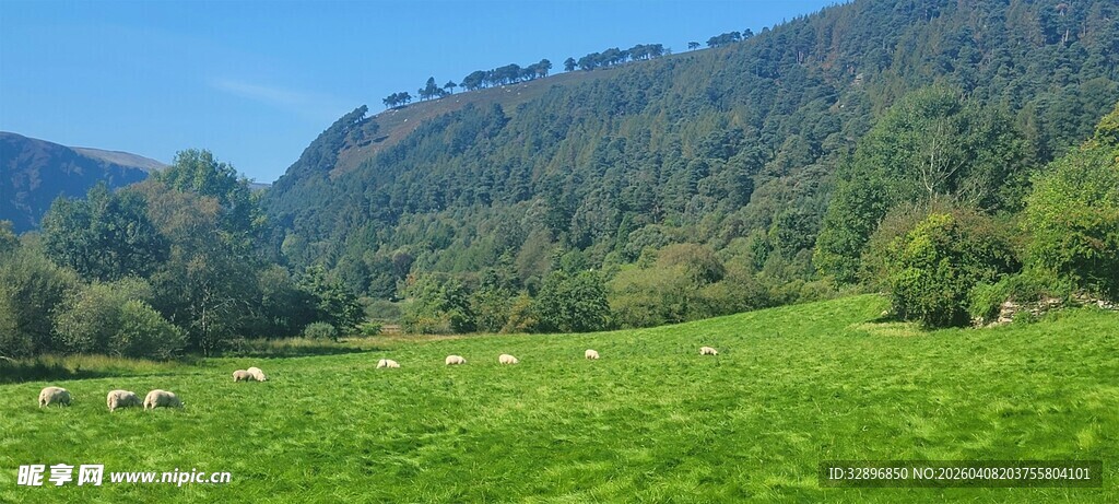 青山下的翠绿草原风光