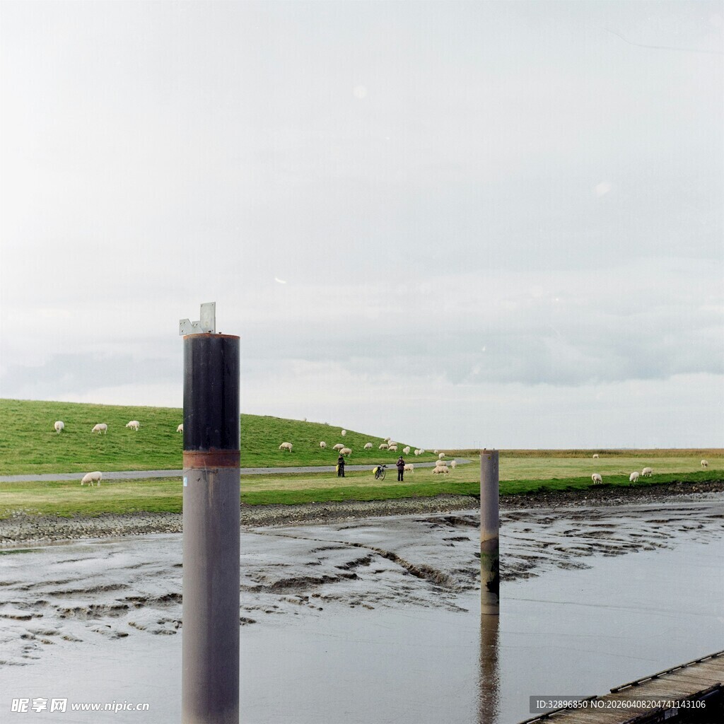 湿地景观中的金属柱