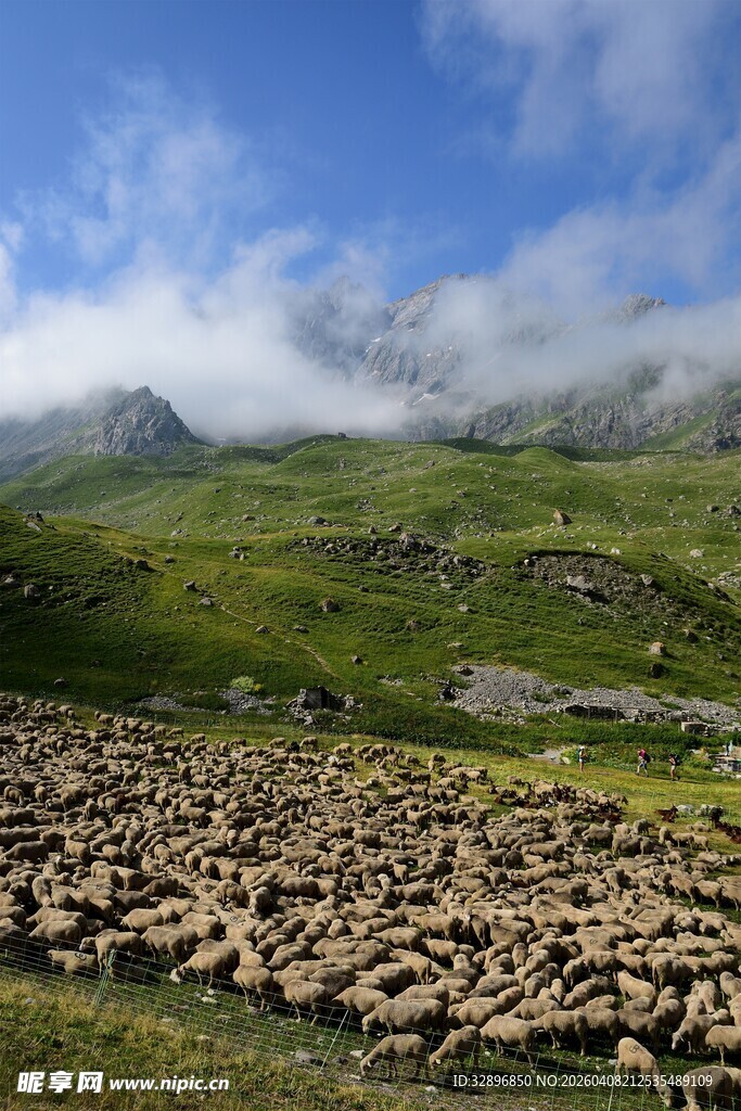 草原羊群与远山美景
