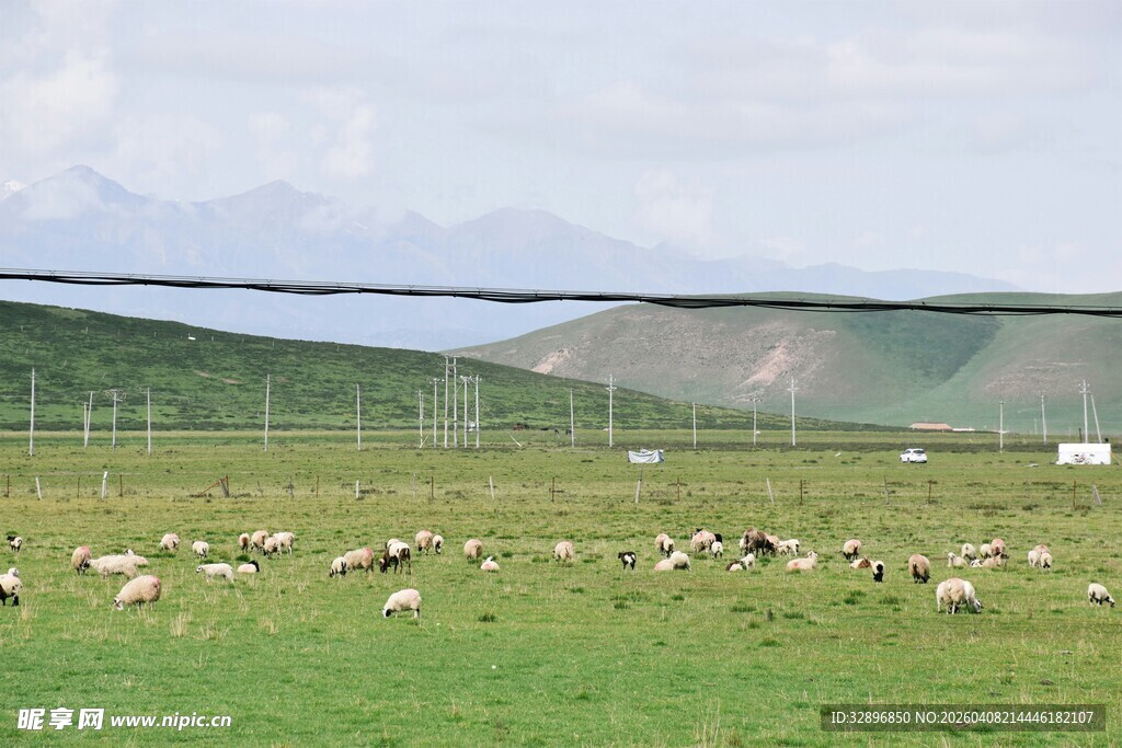 草原羊群与远山美景