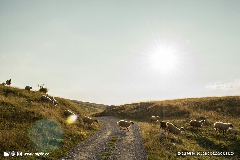 山间小路阳光洒落美景