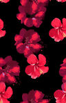 深红花朵图案背景