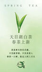 茶叶上新海报