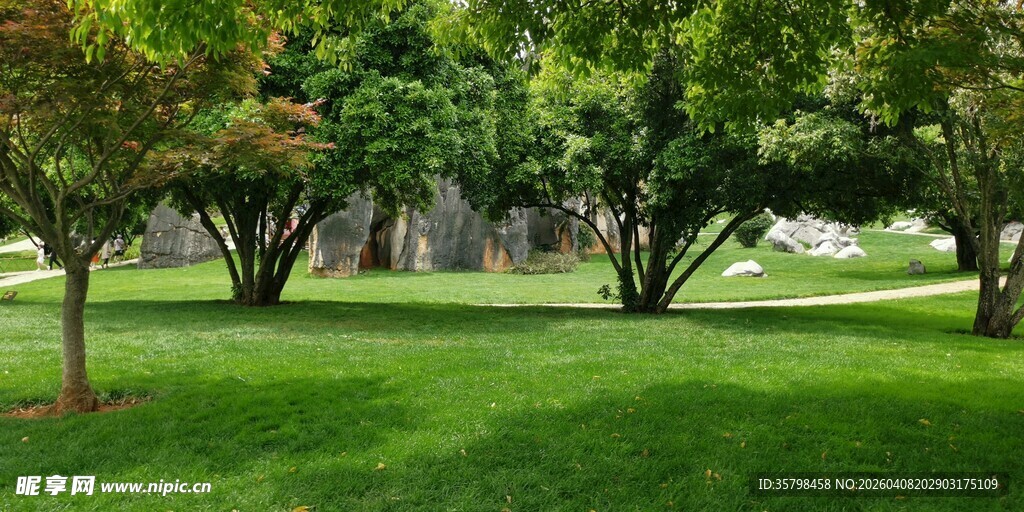 绿意盎然的公园草地景观