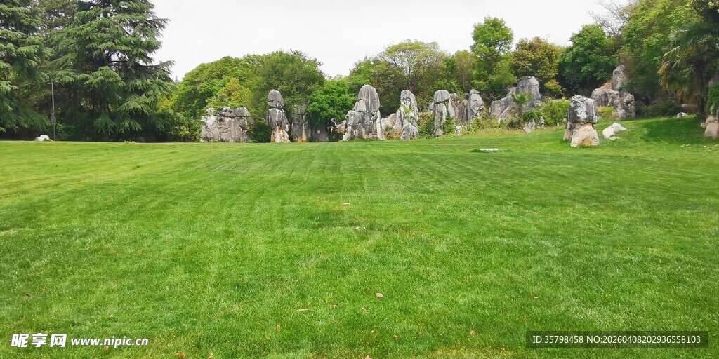 绿意盎然的开阔草地景观
