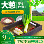 大葱特惠日有机种植大葱