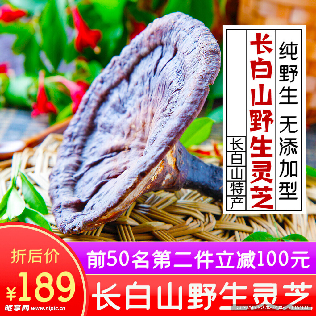 长白山野生灵芝促销特惠