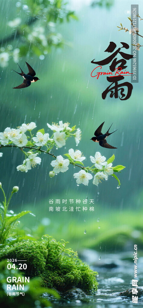 谷雨海报