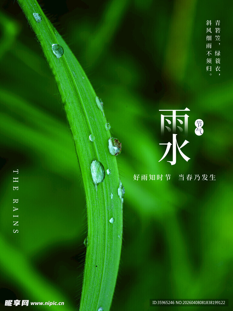雨水海报