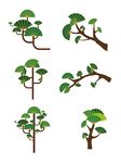 多样造型卡通松树插画