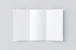 空白三折页设计样机