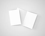 空白A5画册设计展示样机