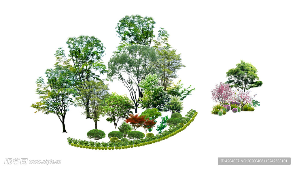 景观灌木乔木绿植矢量图