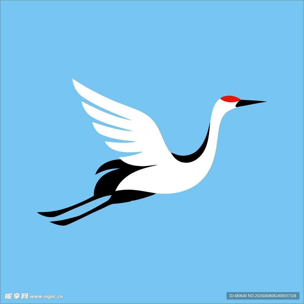 飞翔的丹顶鹤