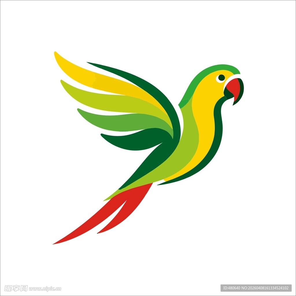 飞翔的多彩鹦鹉