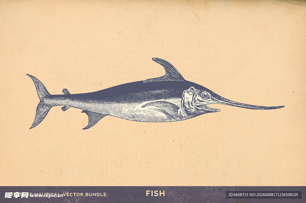 复古风格剑鱼插画
